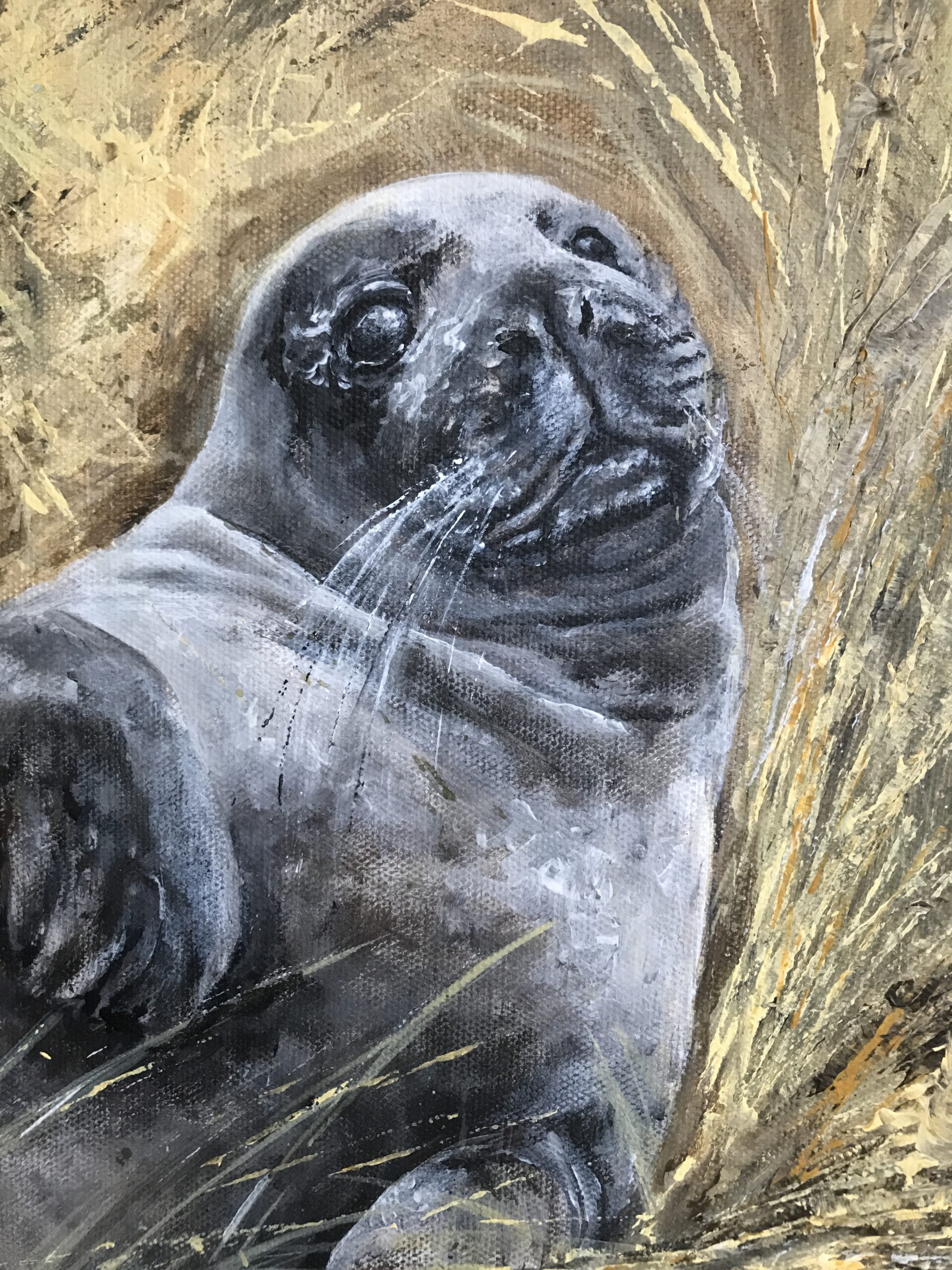 Held seal pup painting close-up of the face
