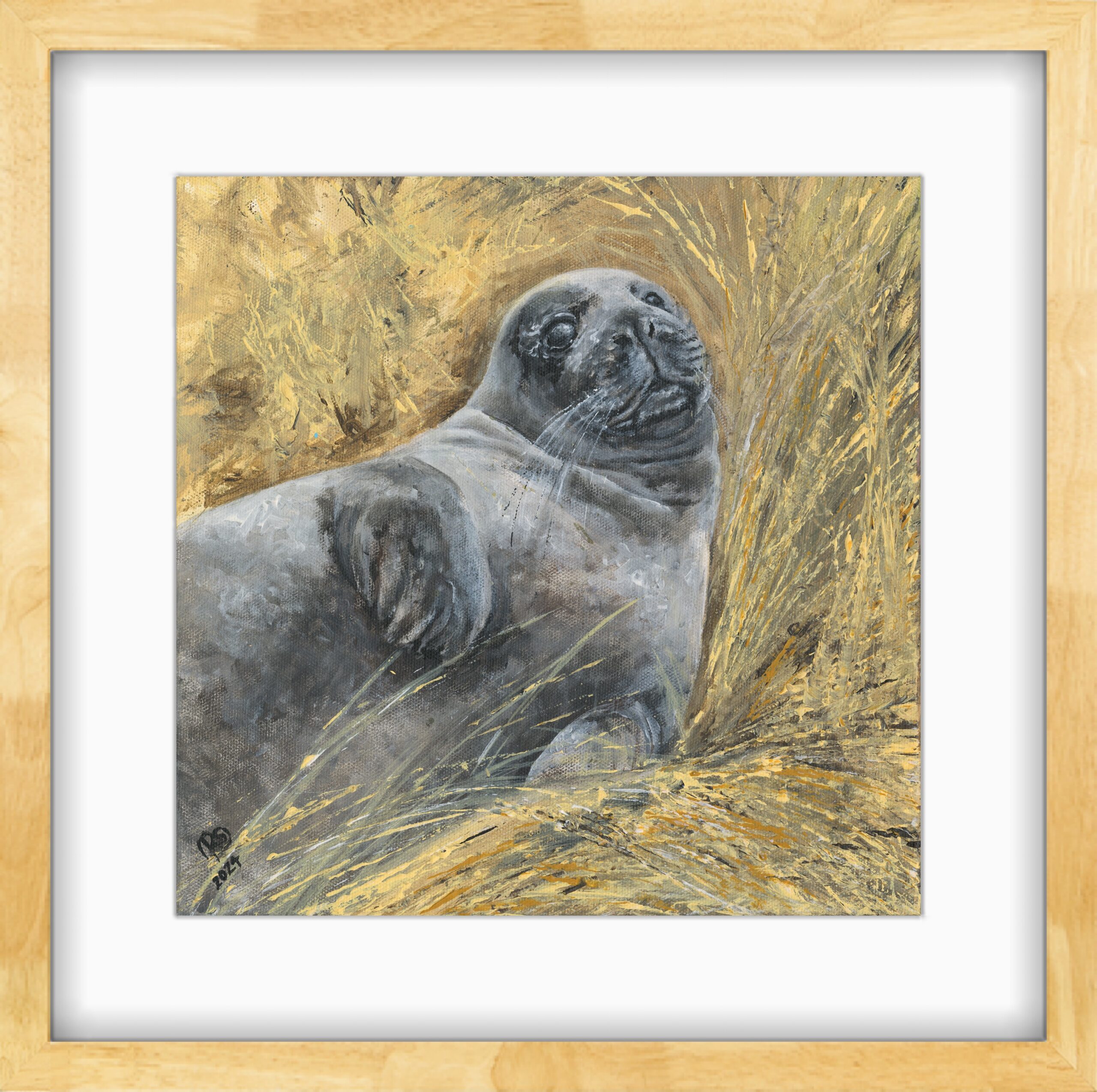 Held seal pup print in a light wood frame with a white mount