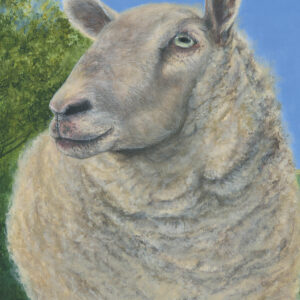 Eric rescue sheep portrait artwork full scanned painting