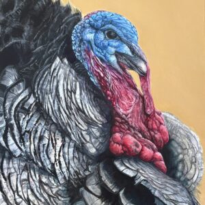 Turkey portrait painting, Colourful Conversation, showing a turkey with vivid blue facial colouring against a warm neutral background.