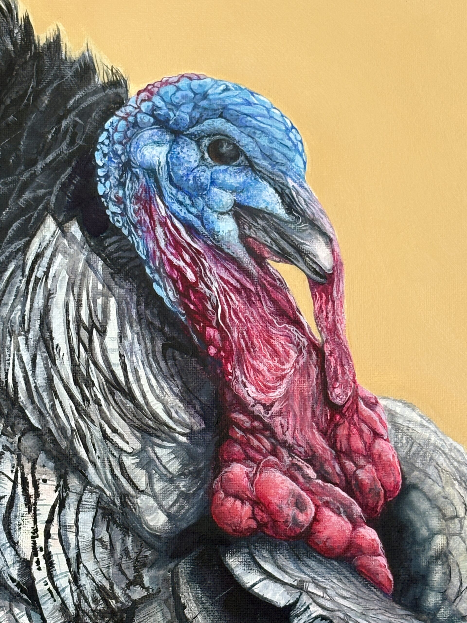 Cropped view of the original turkey portrait Colourful Conversation, showing the turkey's vivid blue face and expressive eye.